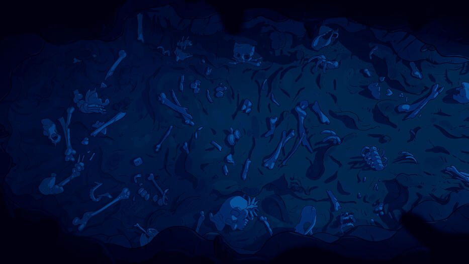 Cave Bones